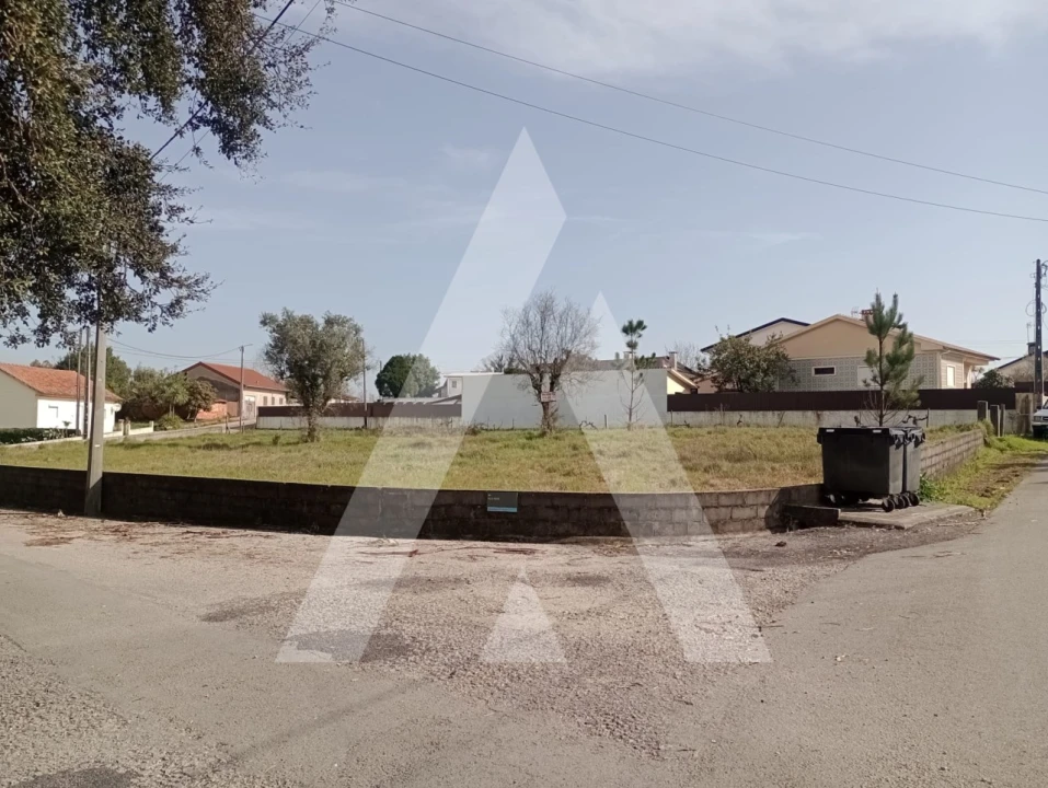 Terreno para Venda em Macinhata do Vouga Foto 1