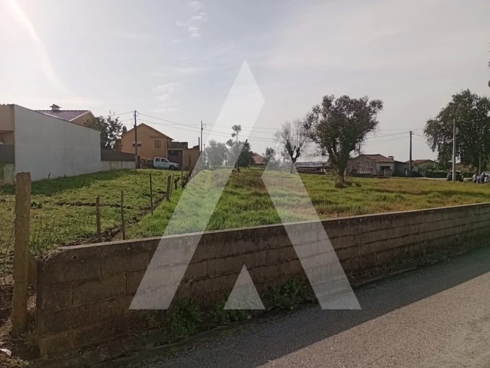 Terreno para Venda em Macinhata do Vouga Foto 5