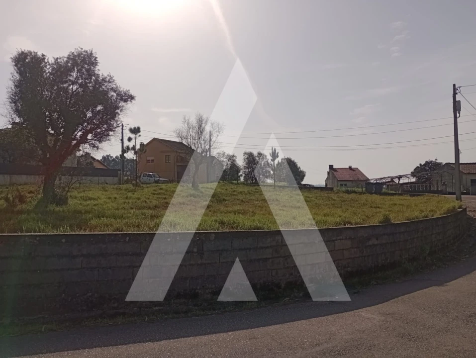 Terreno para Venda em Macinhata do Vouga Foto 7