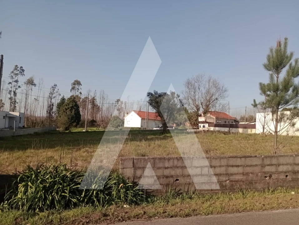 Terreno para Venda em Macinhata do Vouga Foto 11