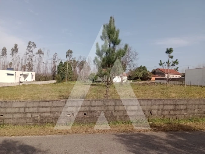 Terreno para Venda em Macinhata do Vouga Foto 2