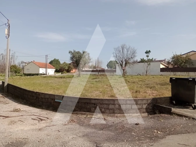 Terreno para Venda em Macinhata do Vouga Foto 3