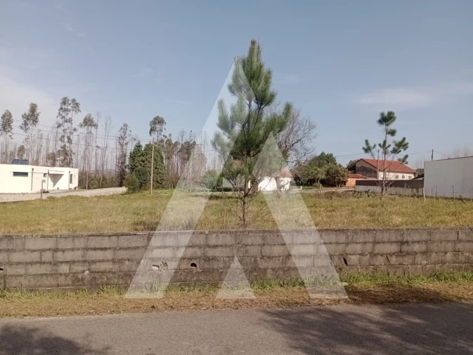 Terreno para Venda em Macinhata do Vouga Foto 4