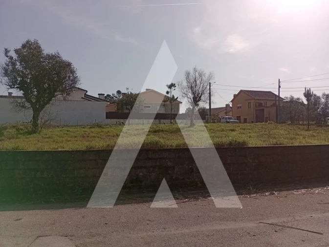 Terreno para Venda em Macinhata do Vouga Foto 8