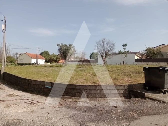 Terreno para Venda em Macinhata do Vouga Foto 9