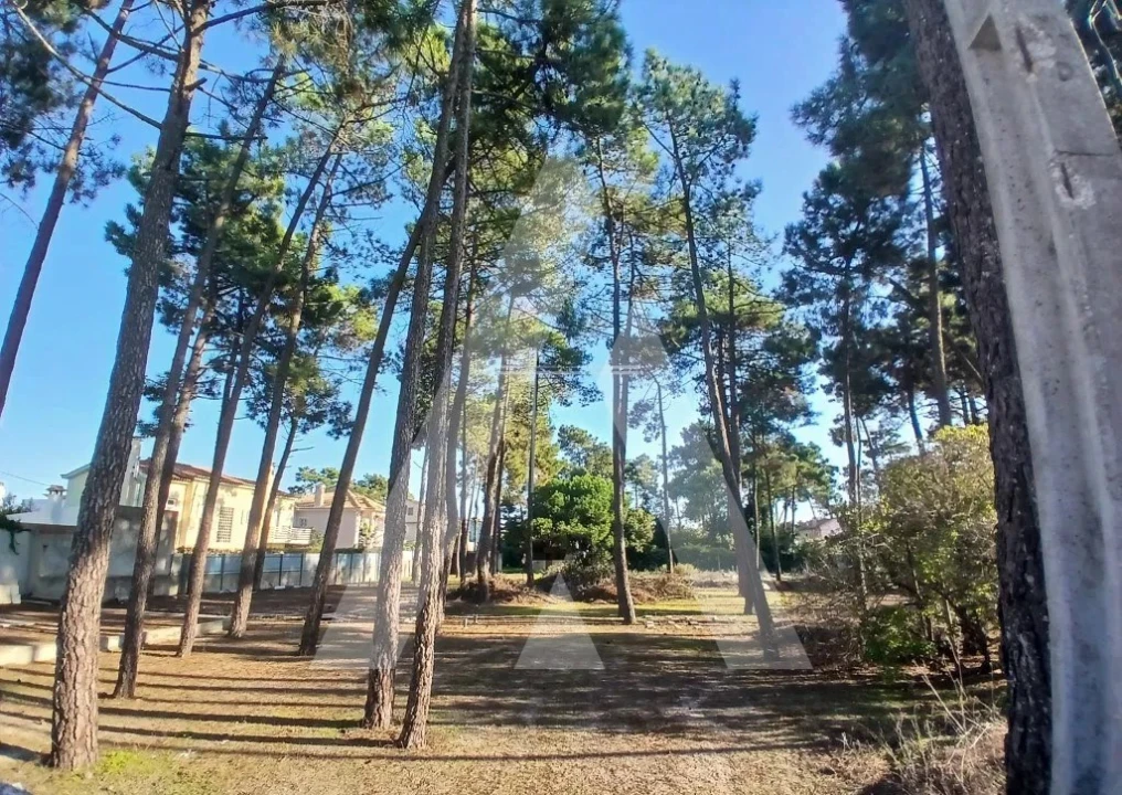 Terreno para Venda em Charneca de Caparica e Sobreda Foto 3