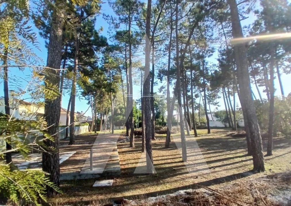 Terreno para Venda em Charneca de Caparica e Sobreda Foto 2