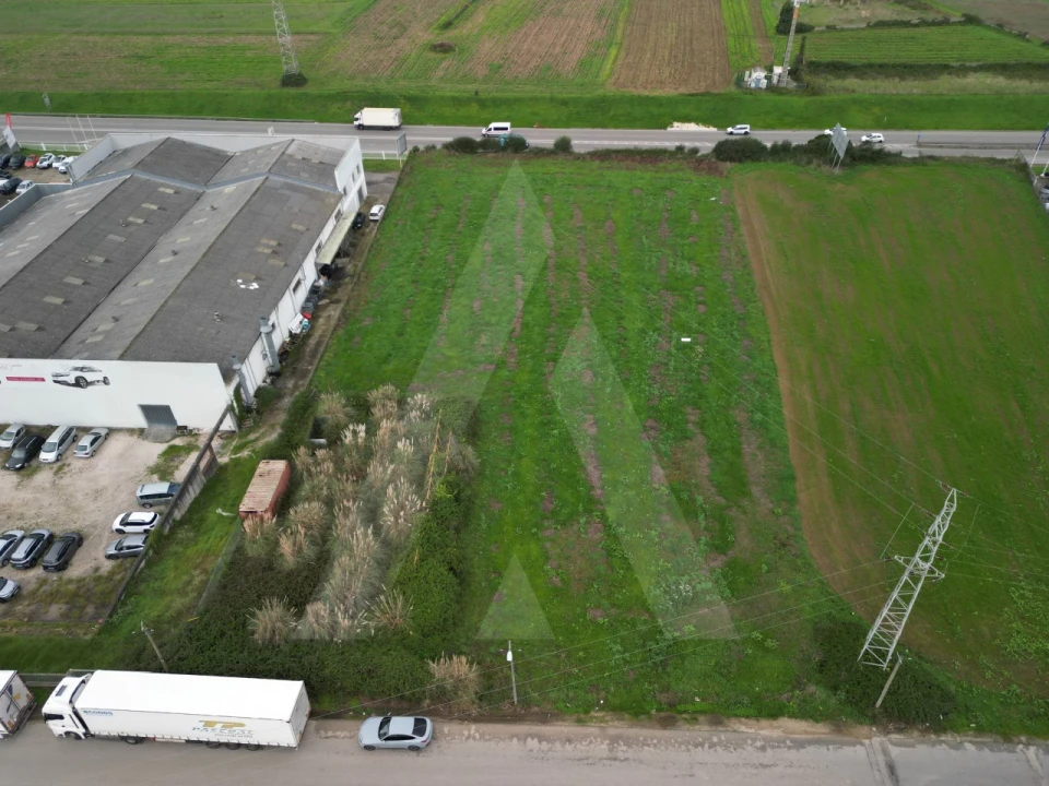 Terreno para Venda em Glória e Vera Cruz Foto 4