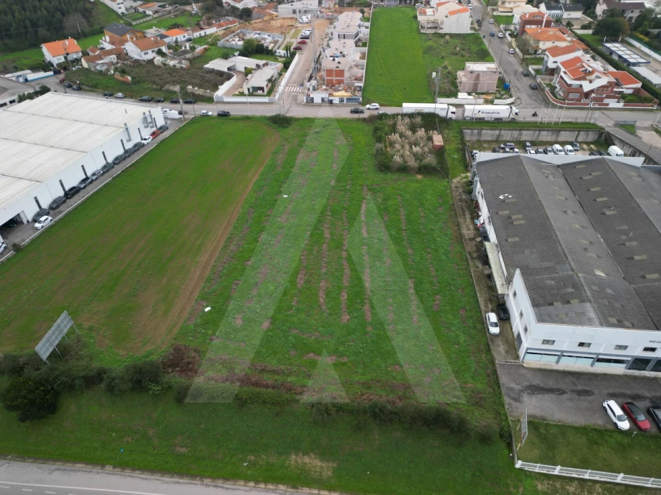 Terreno para Venda em Glória e Vera Cruz Foto 7