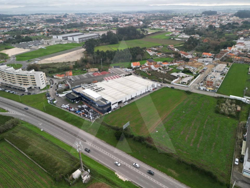 Terreno para Venda em Glória e Vera Cruz Foto 9