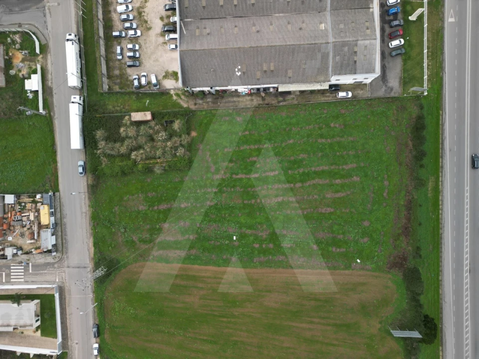 Terreno para Venda em Glória e Vera Cruz Foto 13