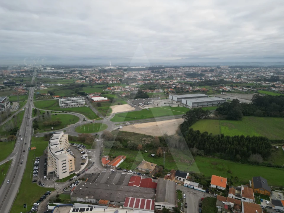 Terreno para Venda em Glória e Vera Cruz Foto 14