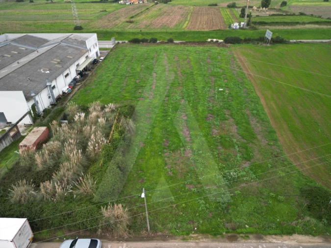 Terreno para Venda em Glória e Vera Cruz Foto 3
