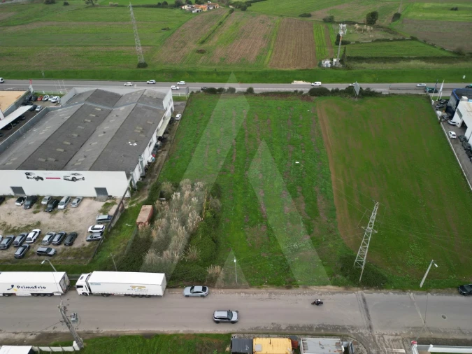 Terreno para Venda em Glória e Vera Cruz Foto 5