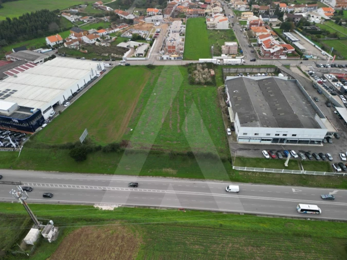Terreno para Venda em Glória e Vera Cruz Foto 8