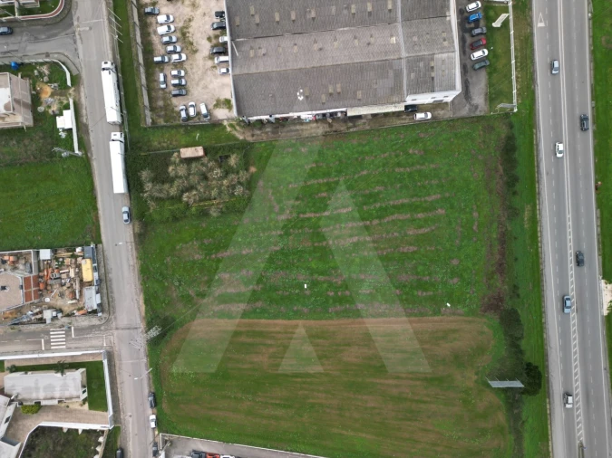 Terreno para Venda em Glória e Vera Cruz Foto 10