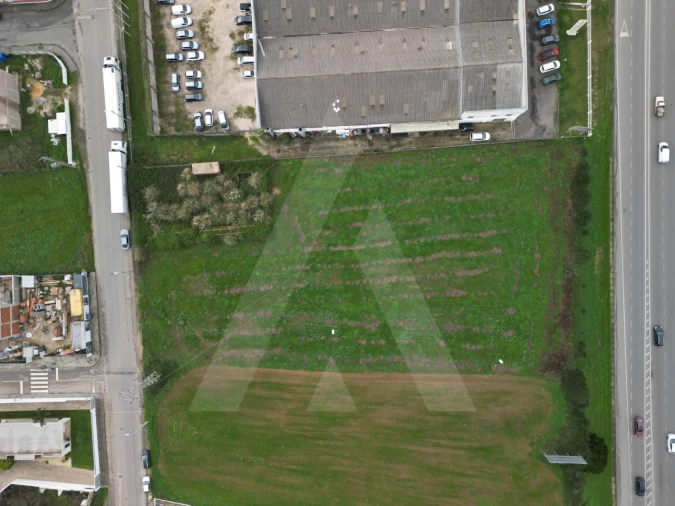 Terreno para Venda em Glória e Vera Cruz Foto 11