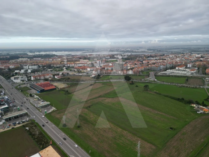 Terreno para Venda em Glória e Vera Cruz Foto 12