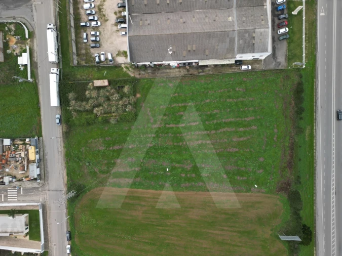 Terreno para Venda em Glória e Vera Cruz Foto 13