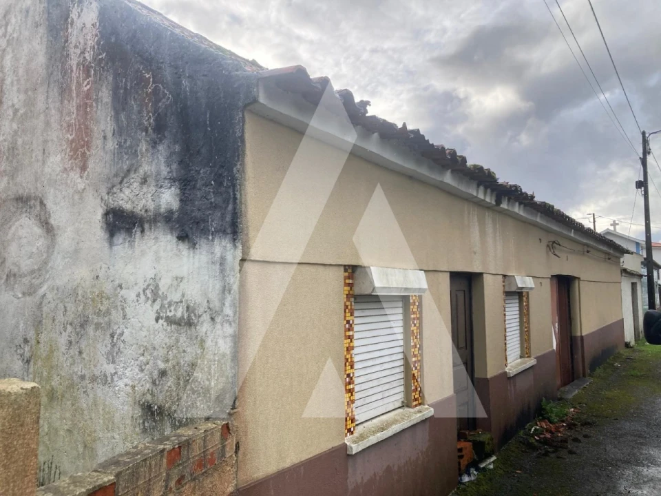 Terreno para Venda em Fonte de Angeão e Covão do Lobo Foto 2