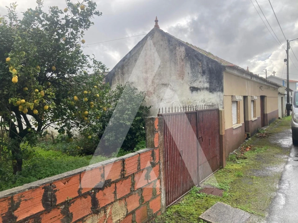 Terreno para Venda em Fonte de Angeão e Covão do Lobo Foto 3