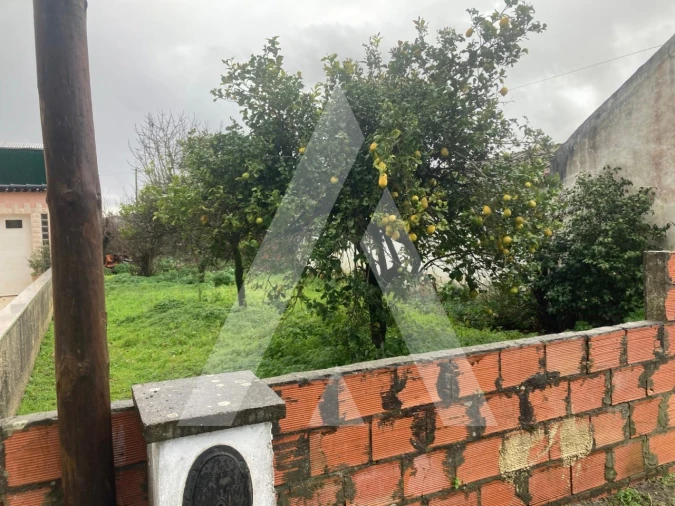 Terreno para Venda em Fonte de Angeão e Covão do Lobo Foto 5