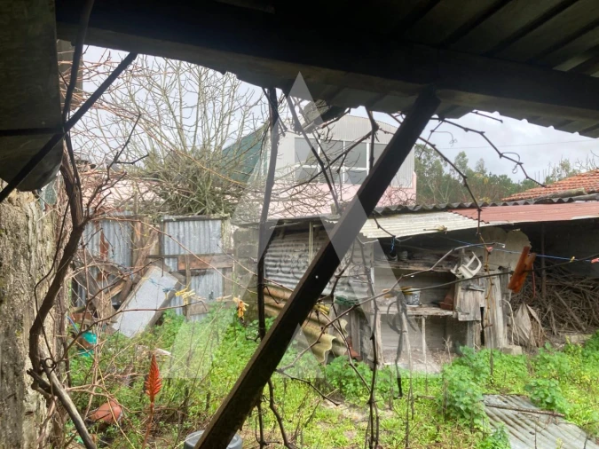 Terreno para Venda em Fonte de Angeão e Covão do Lobo Foto 8