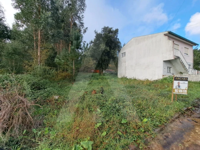 Terreno para Venda em Fermentelos Foto 5