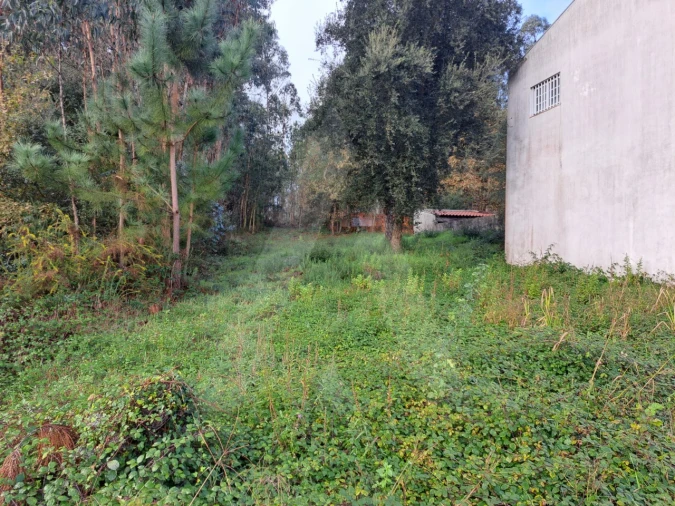 Terreno para Venda em Fermentelos Foto 2