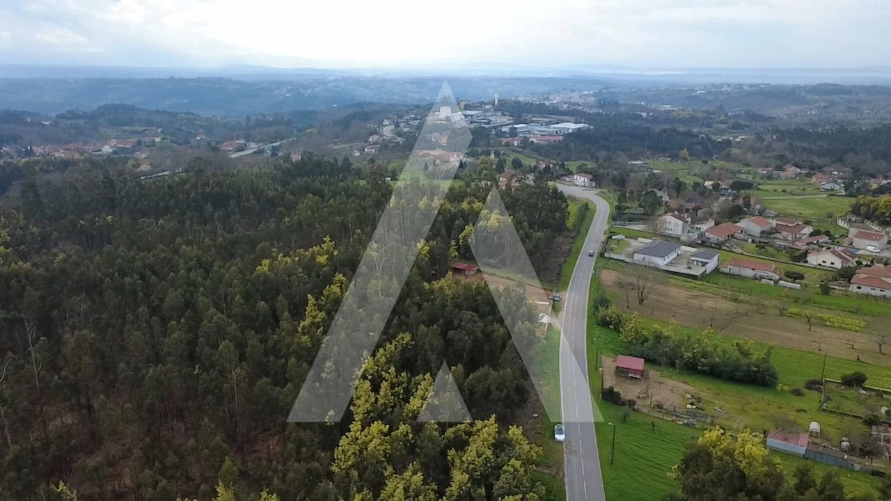 Terreno para Venda em Santa Comba Dão e Couto do Mosteiro Foto 1