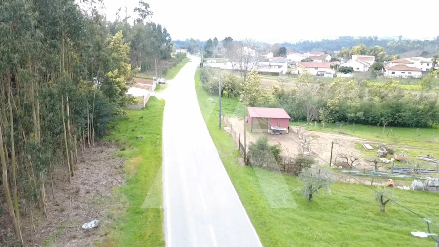 Terreno para Venda em Santa Comba Dão e Couto do Mosteiro Foto 9