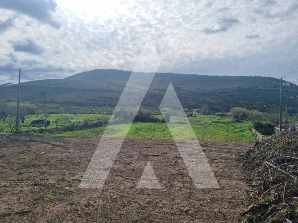 Moradia T4 para Venda em Condeixa-A-Velha e Condeixa-A-Nova Foto 8