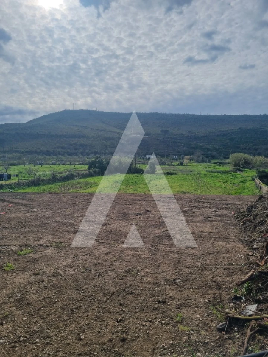 Moradia T4 para Venda em Condeixa-A-Velha e Condeixa-A-Nova Foto 12