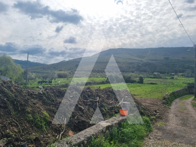 Moradia T4 para Venda em Condeixa-A-Velha e Condeixa-A-Nova Foto 10