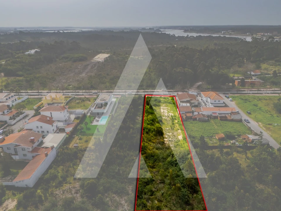 Terreno para Venda em Ovar, São João, Arada e São Vicente de Pereira Jusã Foto 6