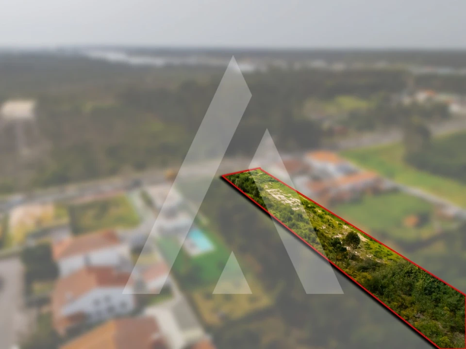 Terreno para Venda em Ovar, São João, Arada e São Vicente de Pereira Jusã Foto 5