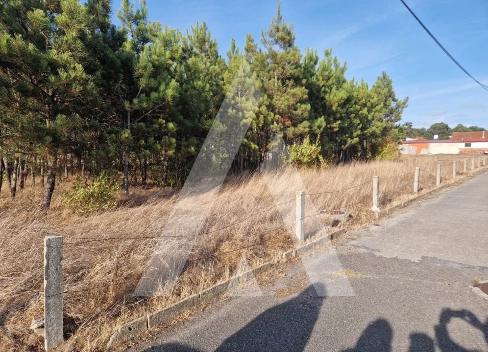 Terreno para Venda em Gafanha da Encarnação Foto 2