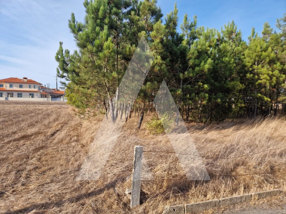 Terreno para Venda em Gafanha da Encarnação Foto 3
