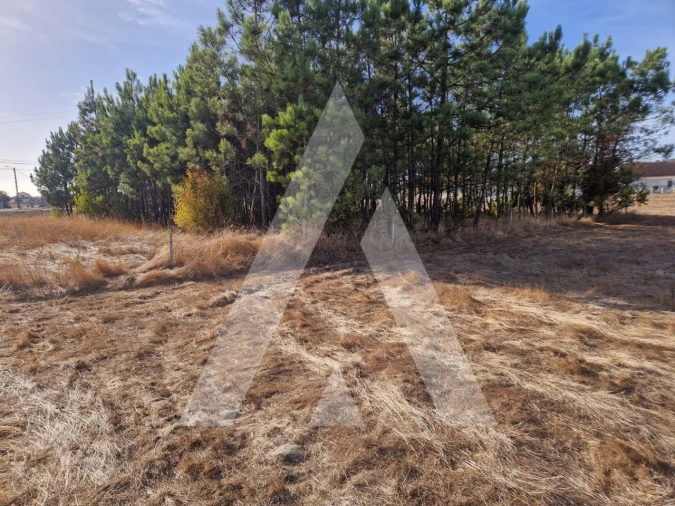 Terreno para Venda em Gafanha da Encarnação Foto 1