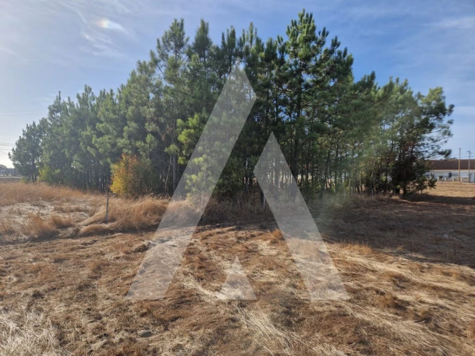 Terreno para Venda em Gafanha da Encarnação Foto 4