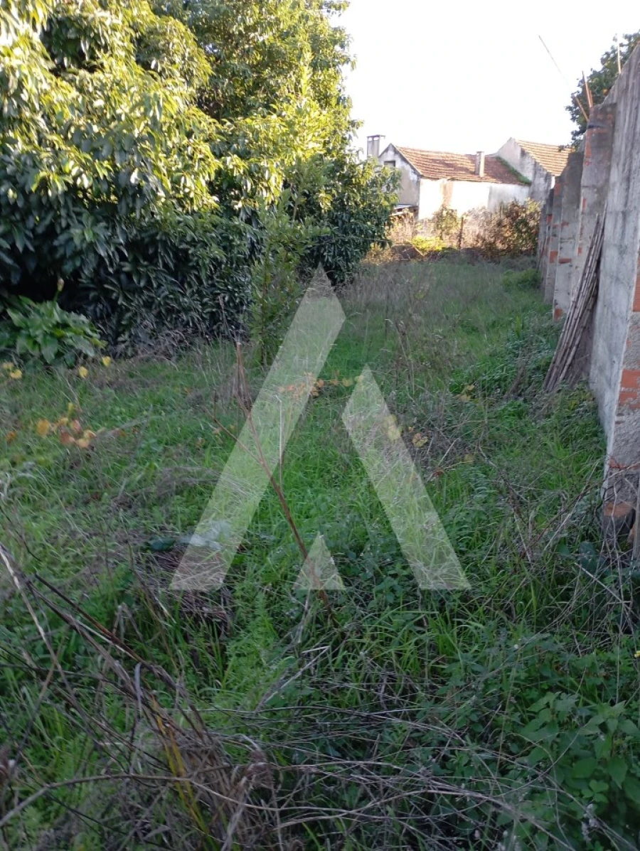 Terreno para Venda em Oliveirinha Foto 2