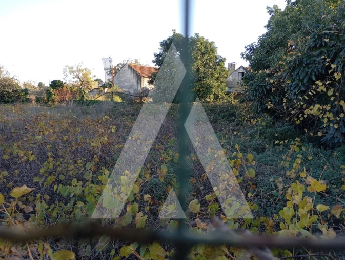 Terreno para Venda em Oliveirinha Foto 3