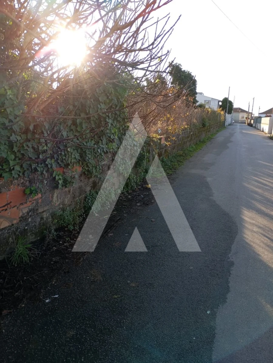 Terreno para Venda em Oliveirinha Foto 6