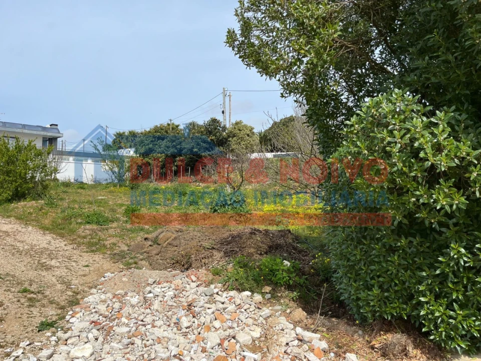 Terreno para Venda em Lourinhã e Atalaia Foto 6