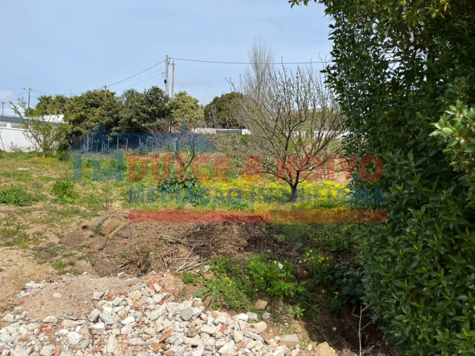Terreno para Venda em Lourinhã e Atalaia Foto 8