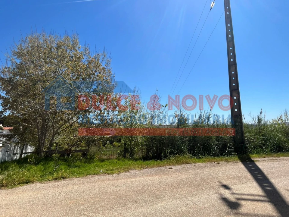 Terreno para Venda em Lourinhã e Atalaia Foto 4