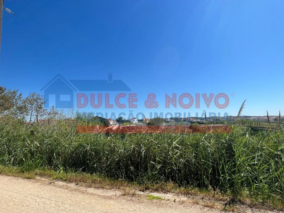 Terreno para Venda em Lourinhã e Atalaia Foto 5