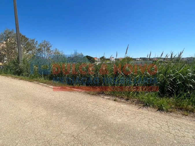 Terreno para Venda em Lourinhã e Atalaia Foto 2