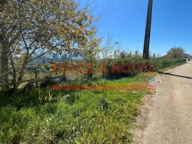 Terreno para Venda em Lourinhã e Atalaia Foto 3