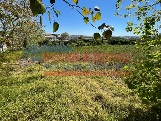 Terreno para Venda em Lourinhã e Atalaia Foto 6